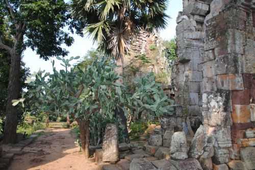 ANGKOR WAT HALF MARATHON 2013